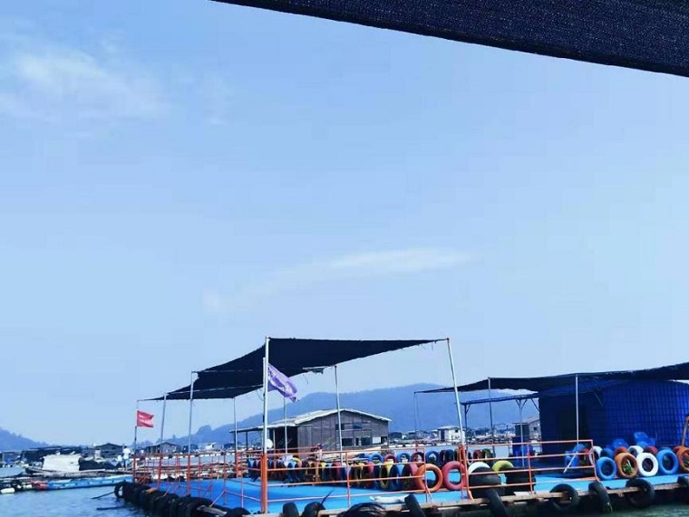 ����˹8040����