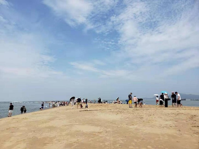 ����˹8040����