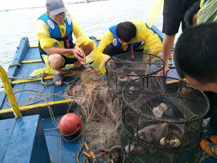 ����˹8040����