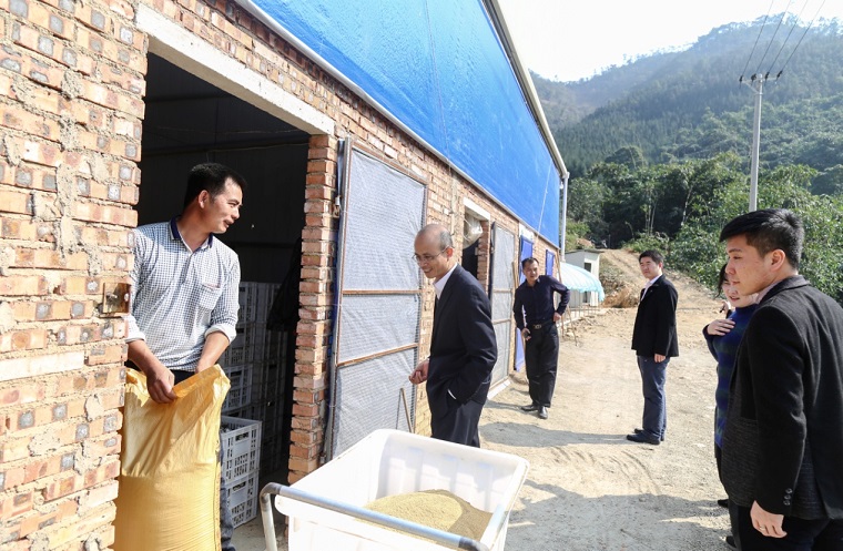 ÍþÄá˹8040¹ÙÍø