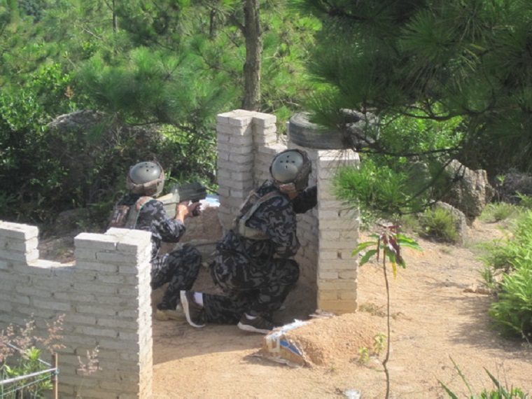 ����˹8040����