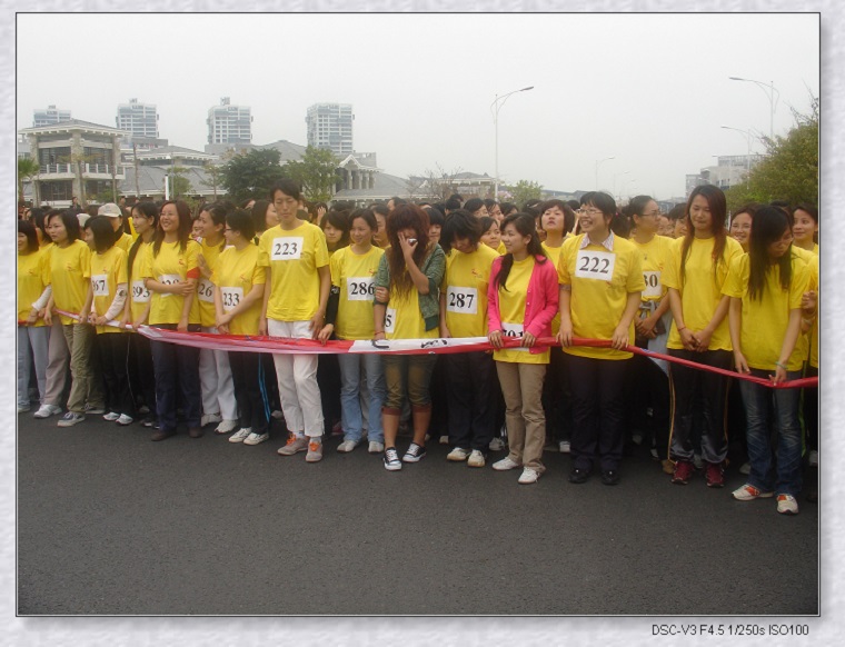 ����˹8040����