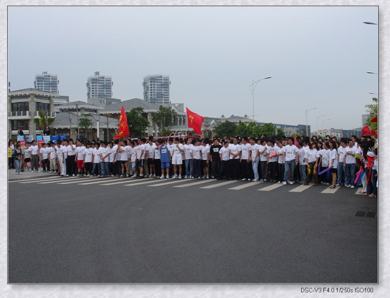 ����˹8040����