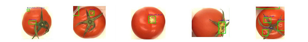 ����˹8040����