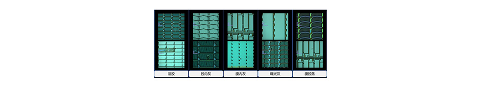 ����˹8040����