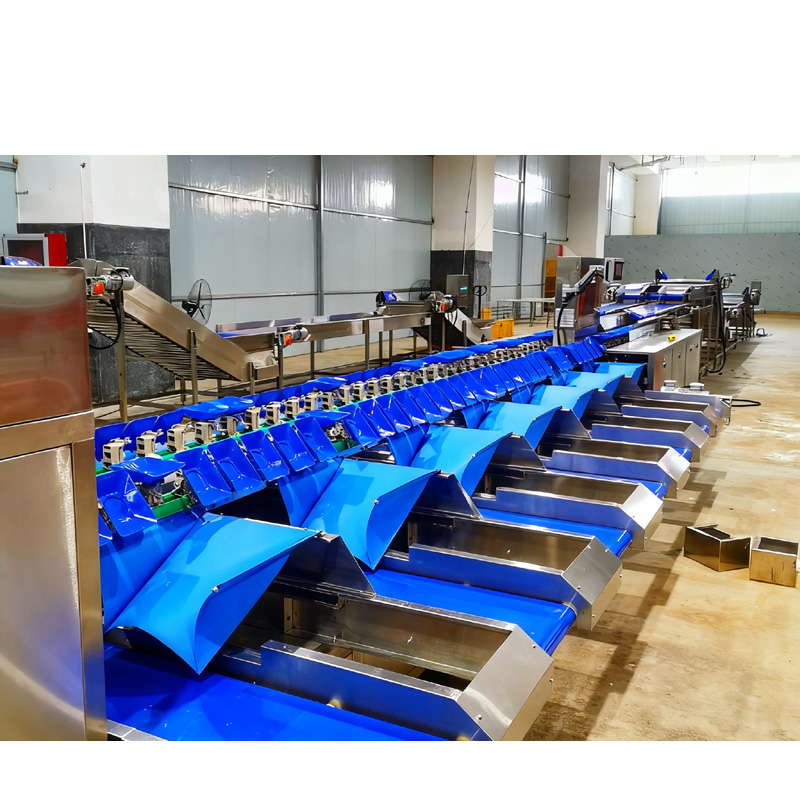 �Զ����߷ּ����ƻ�